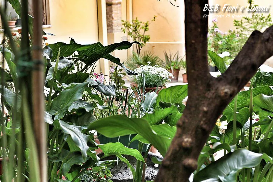 Il verde del cortile interno